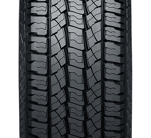 Roadstone-Roadian-AT-3