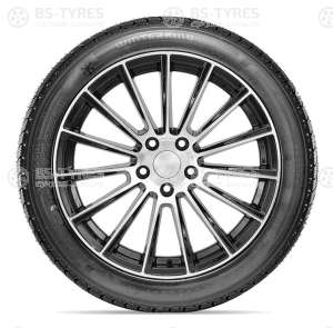 Doublestar DW02 275/45 R21 110T