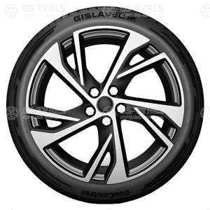 Gislaved EcoControl 255/50 R19 107H