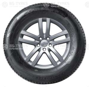 Tracmax RF09 225/70 R15C 112/110R